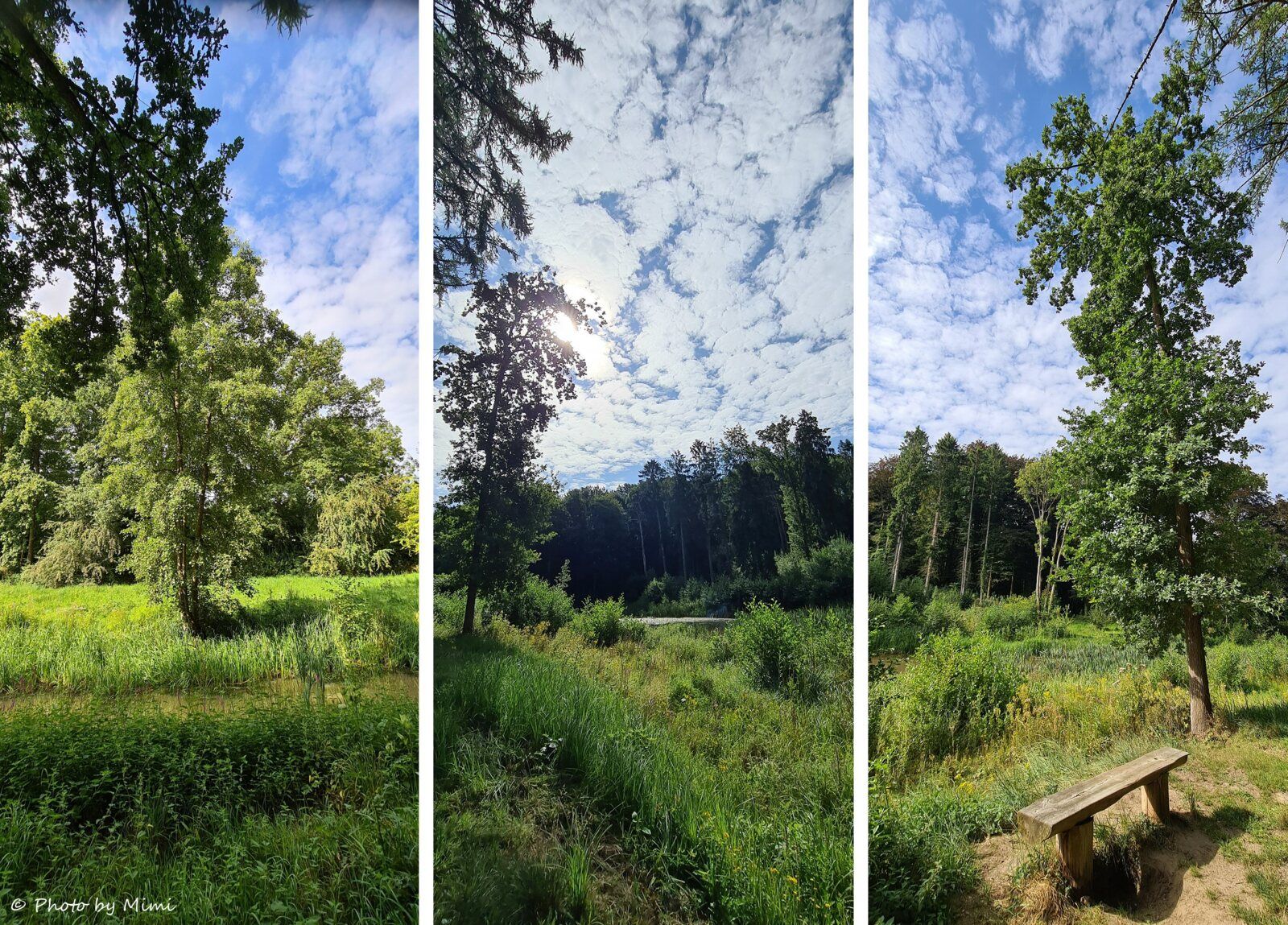 Balade à .. Tervuren