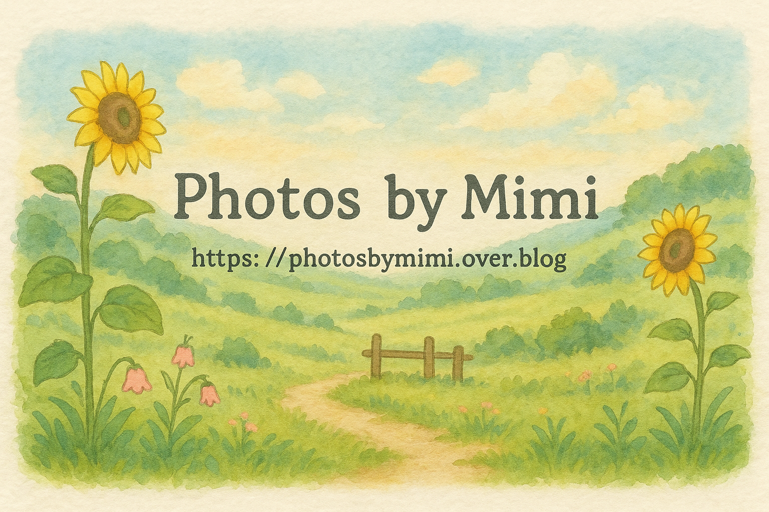 Bienvenue sur le blog :O)