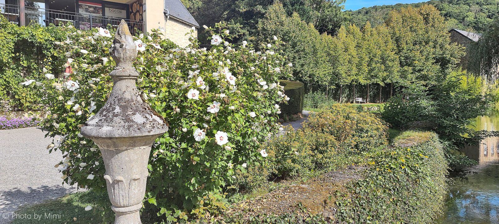 Balade aux .. Jardins d'eau d'Annevoie