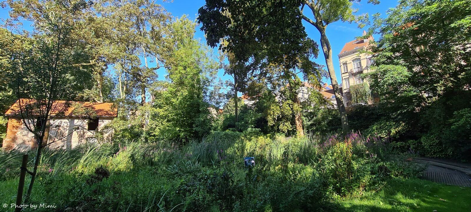 Balade au .. jardin Félix Hap