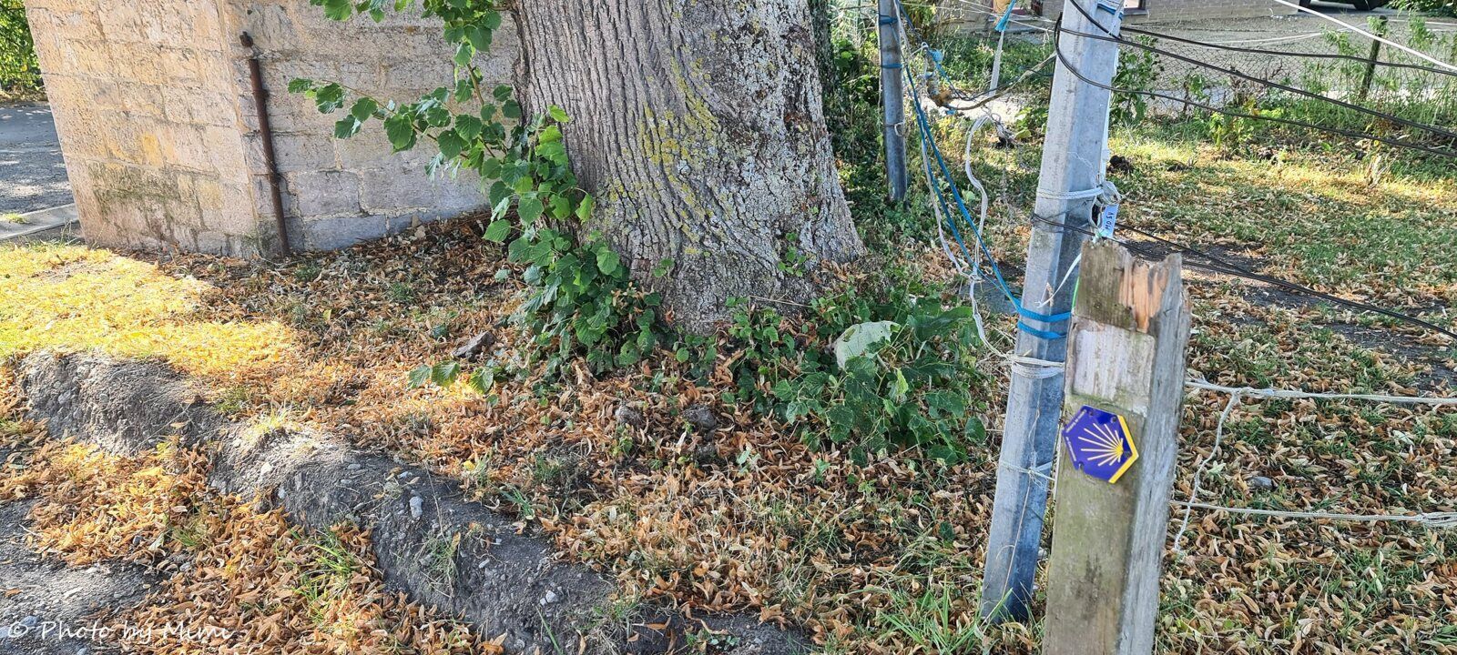 Nous croisons le chemin de Saint Jacques de Compostelle