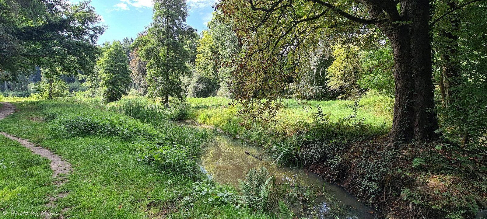 En effet, on se croirait dans un tableau, un cadre idylique !! :O)