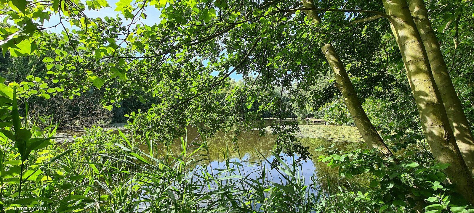 Balade .. le long de la Woluwe