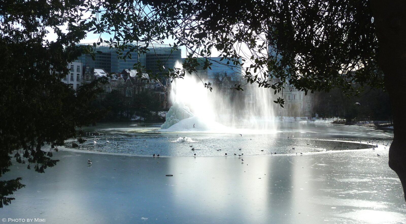 Balade .. l'hiver au quartier des squares