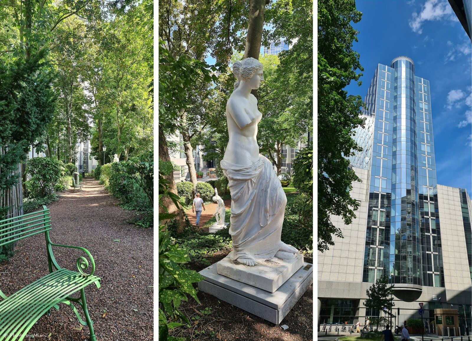 Balade au .. jardin des citoyens