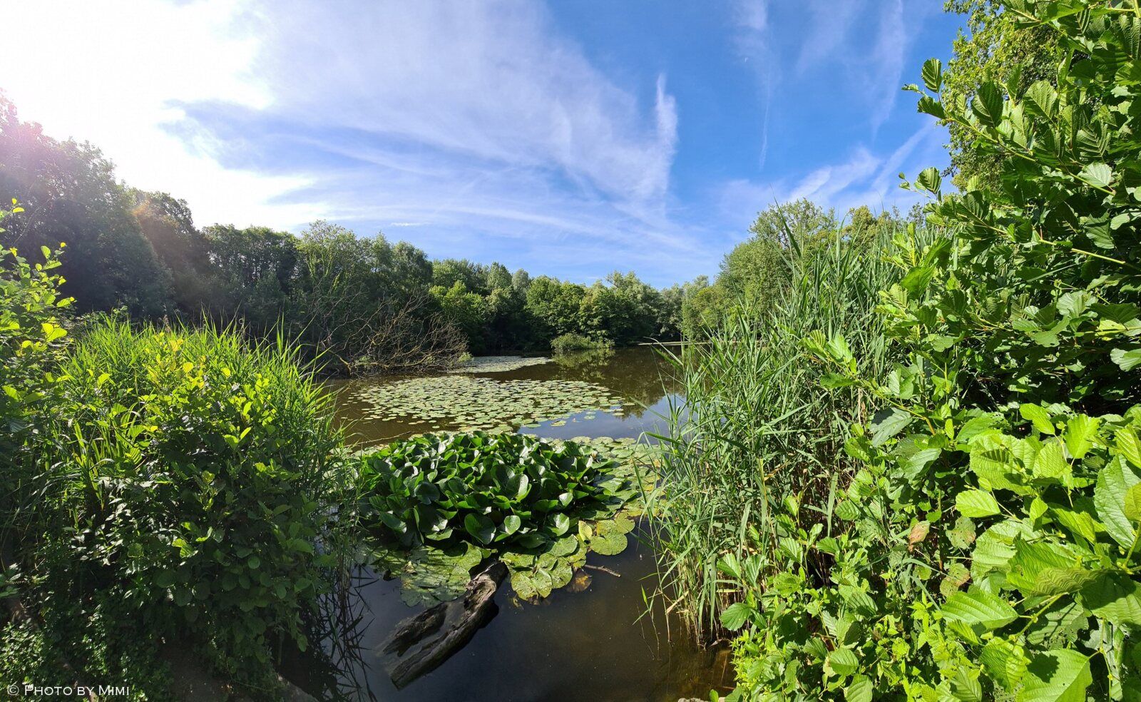 Balade .. le long de la Woluwe