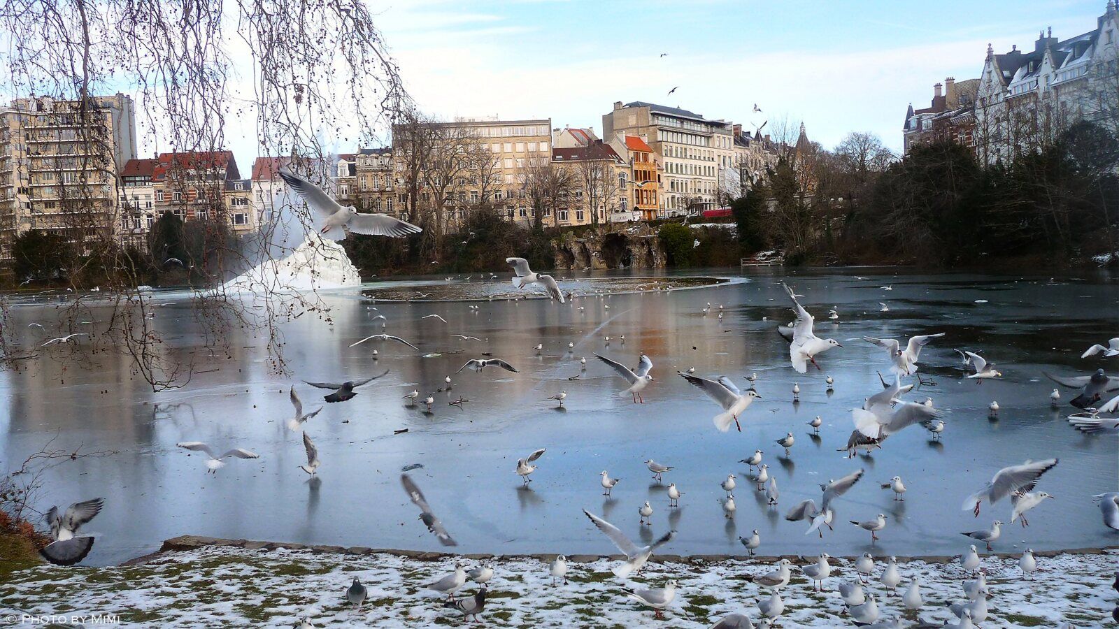 Balade .. l'hiver au quartier des squares