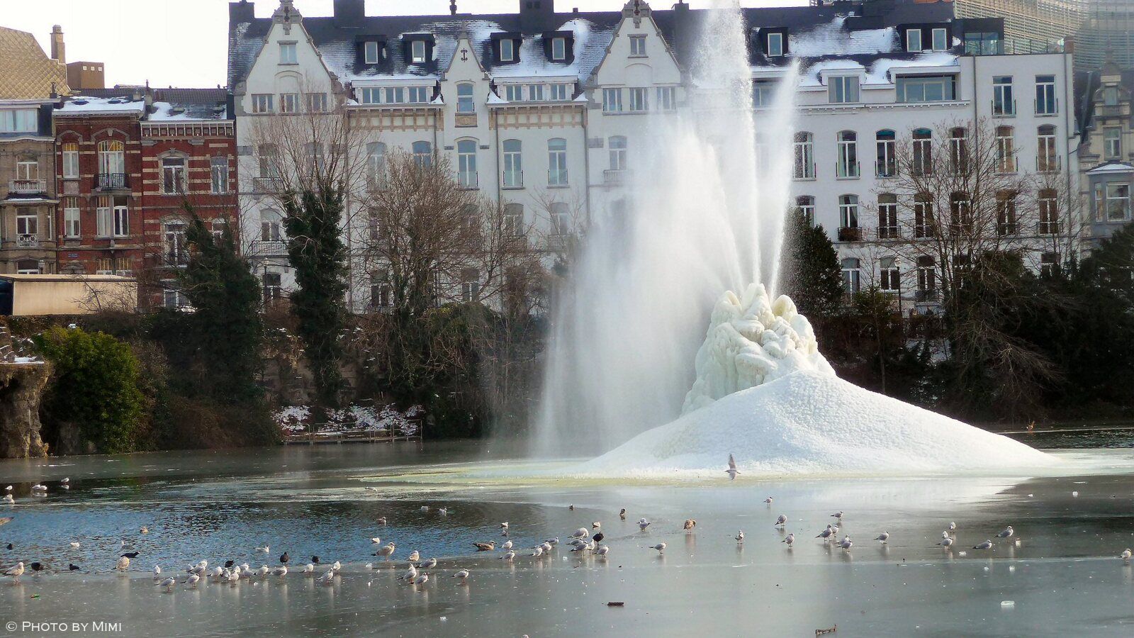 Balade .. l'hiver au quartier des squares