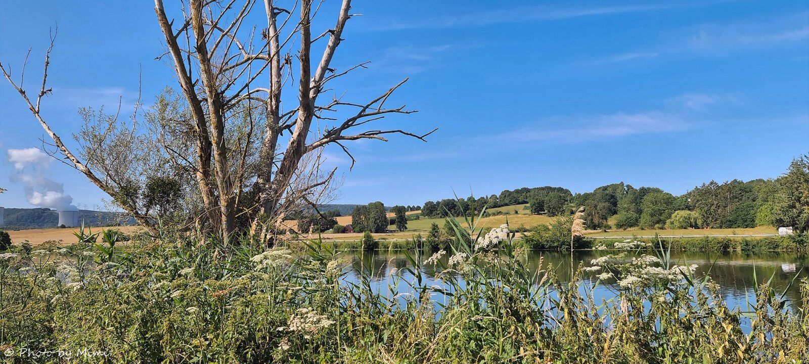 Nous voici parvenus tout en bas, le long du fleuve