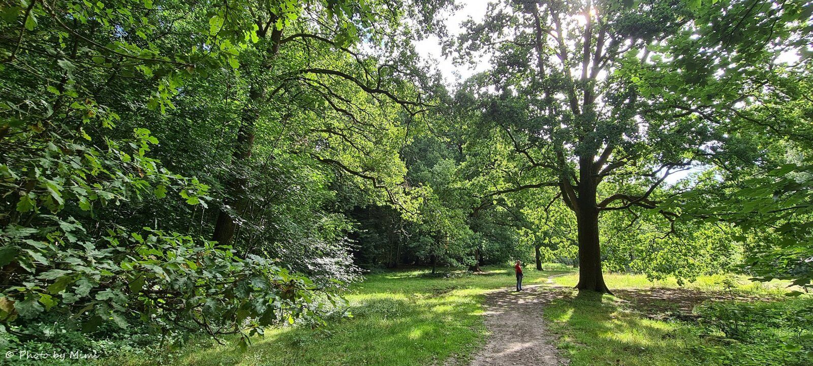 Balade à .. Tervuren