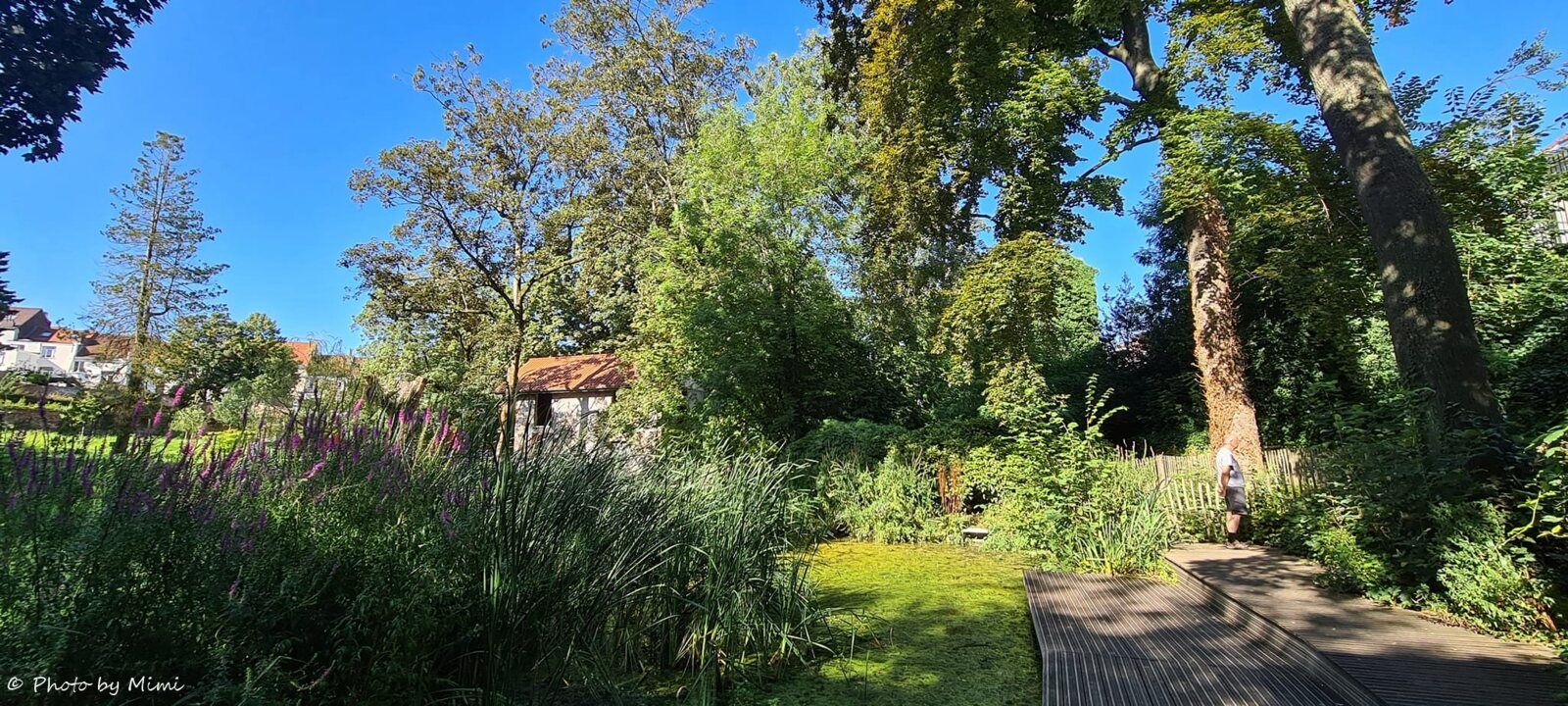 Balade au .. jardin Félix Hap