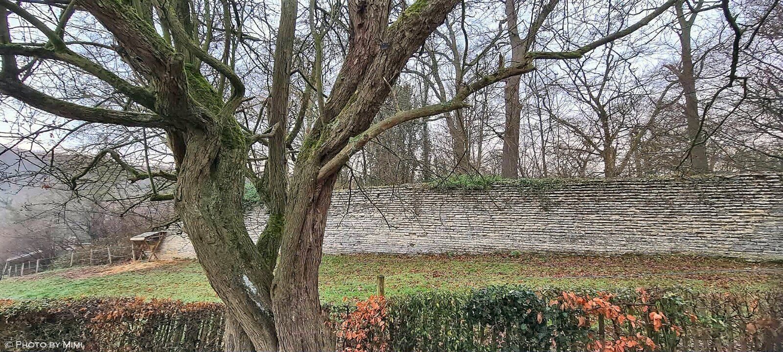 Balade .. au Rouge Cloître