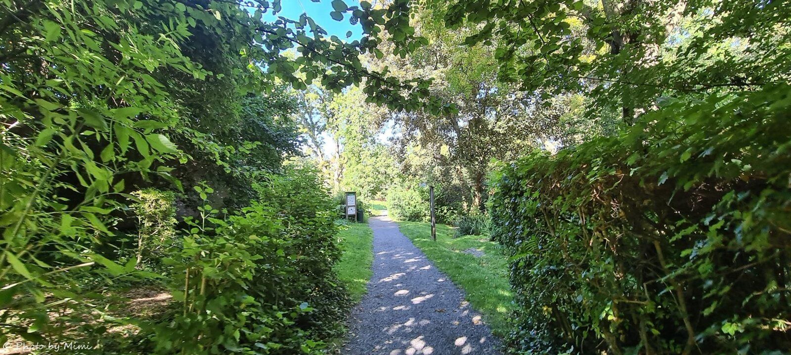Balade au .. jardin Félix Hap