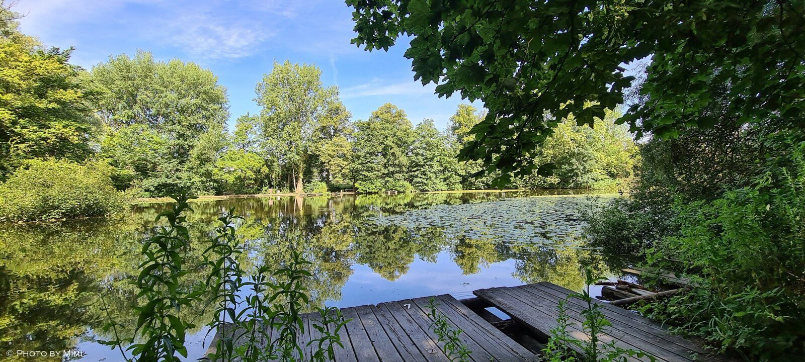 Balade .. le long de la Woluwe